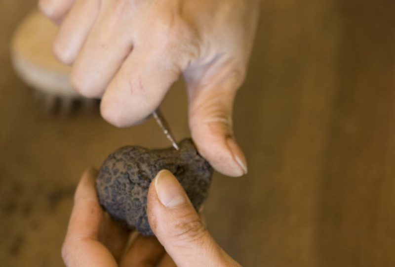 La truffe dans tous ses états ! à Colonzelle - 2