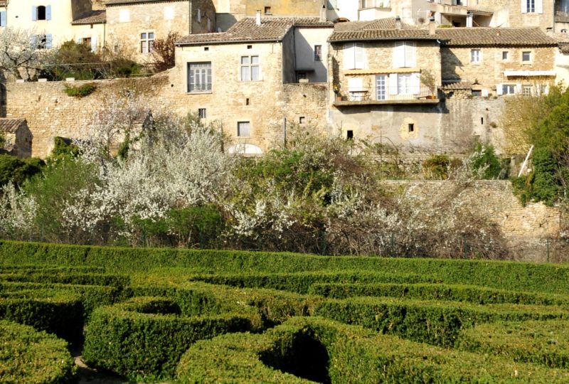 Terroir et bien-être dans le Pays de Grignan et l’Enclave des Papes à Grignan - 3