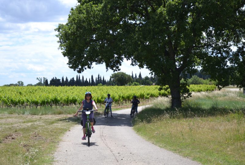 Escapade à vélo au pays de la Marquise (offre week-end) à Grignan - 0