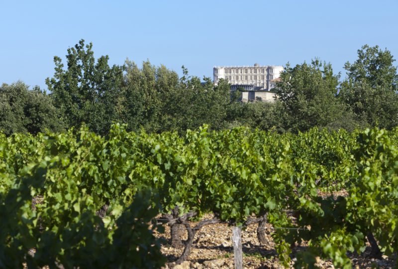 Terroir et bien-être dans le Pays de Grignan et l’Enclave des Papes à Grignan - 2