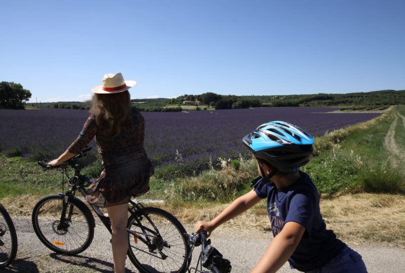 Escapade à vélo au pays de la Marquise (offre week-end) à Grignan - 1