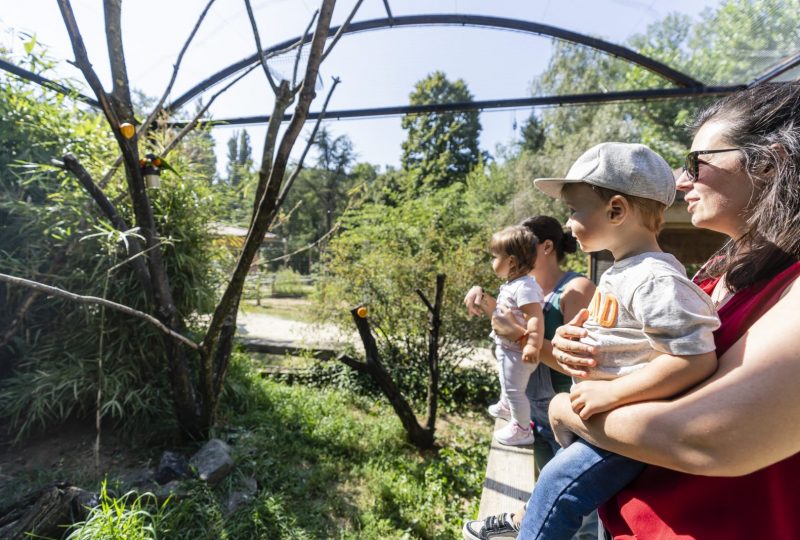 Zoo d’Upie – Le Jardin aux Oiseaux à Upie - 5