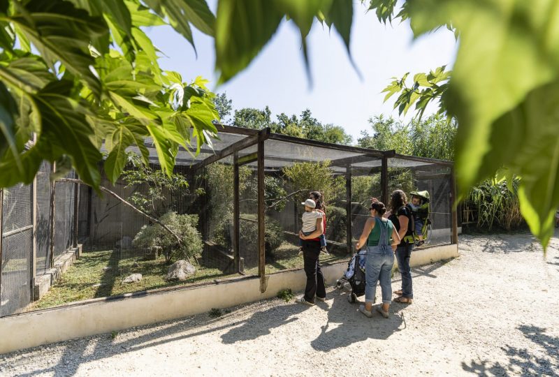 Zoo d’Upie – Le Jardin aux Oiseaux à Upie - 7