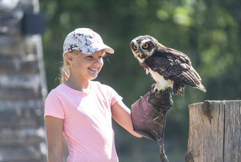 Zoo d’Upie – Le Jardin aux Oiseaux à Upie - 8