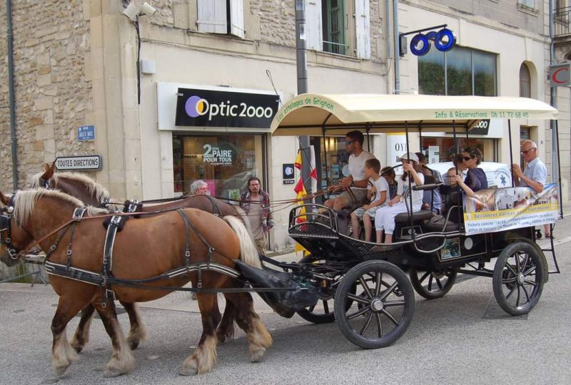 Les Attelages de Grignan à Grignan - 7