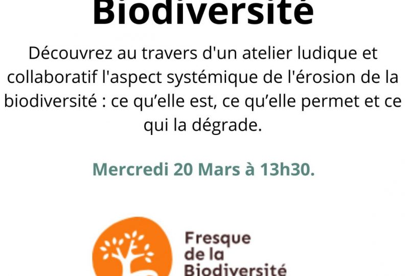 Atelier fresque de la biodiversité à Grillon - 0