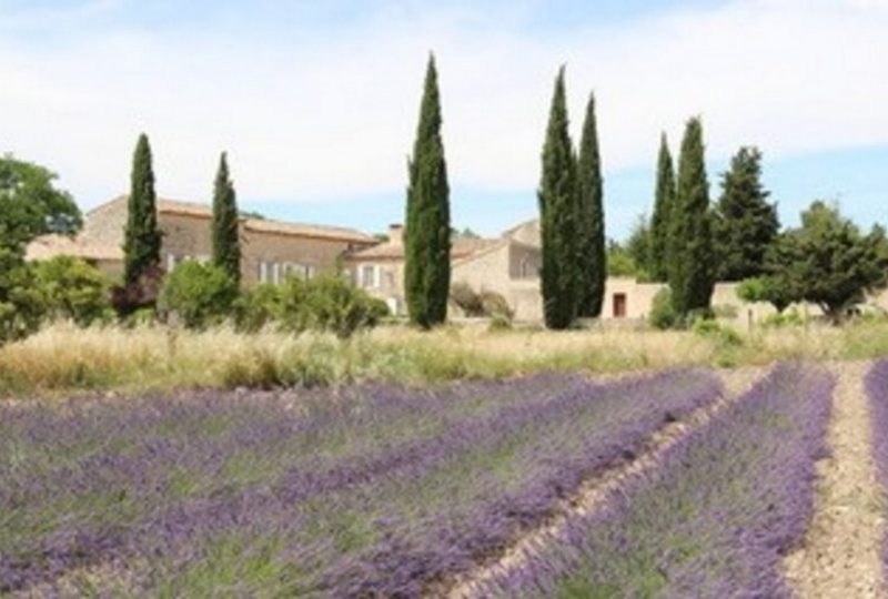 Une heure avec Brigitte Lecuelle à Grignan - 0