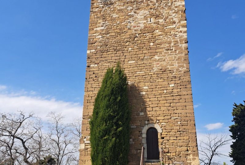 Visite gratuite de la Tour Ripert et de la Chapelle des Pénitents Blancs à Valréas - 1