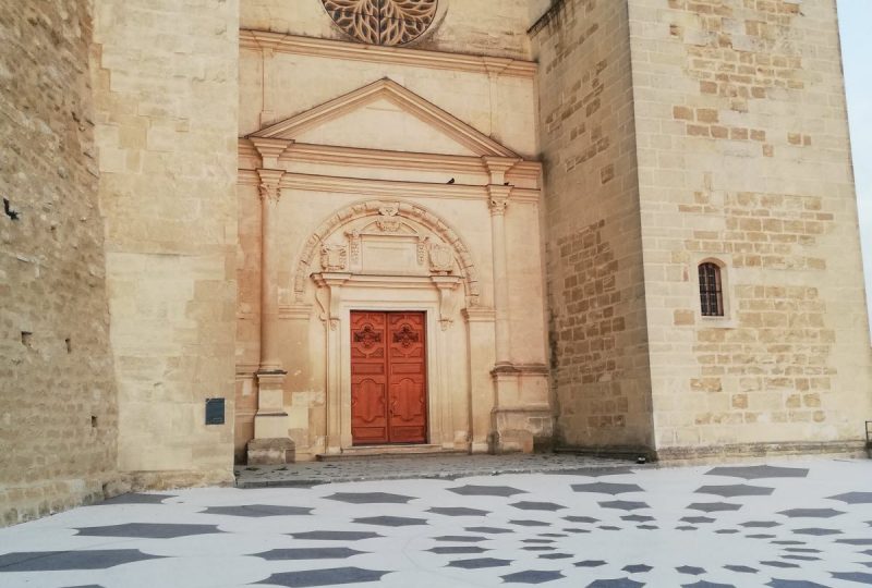 Visite guidée de la collégiale Saint-Sauveur de Grignan à Grignan - 0