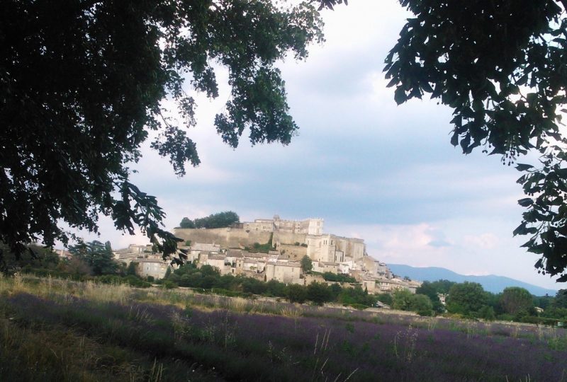 Visite guidée de Grignan et de la collégiale à Grignan - 0