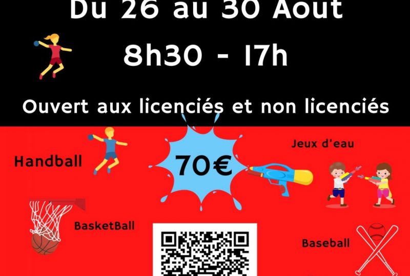 Stage vacances handball et multisports (août 2) à Valréas - 0