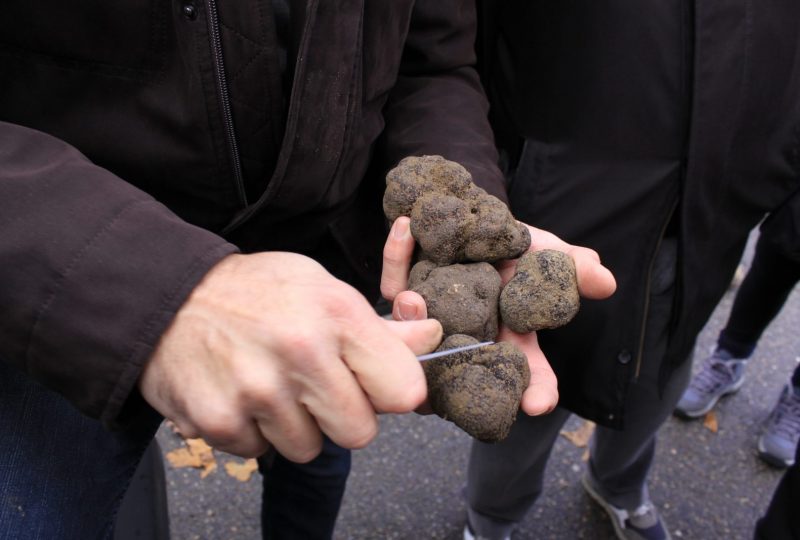 Marché aux truffes et produits du terroir à Richerenches - 2