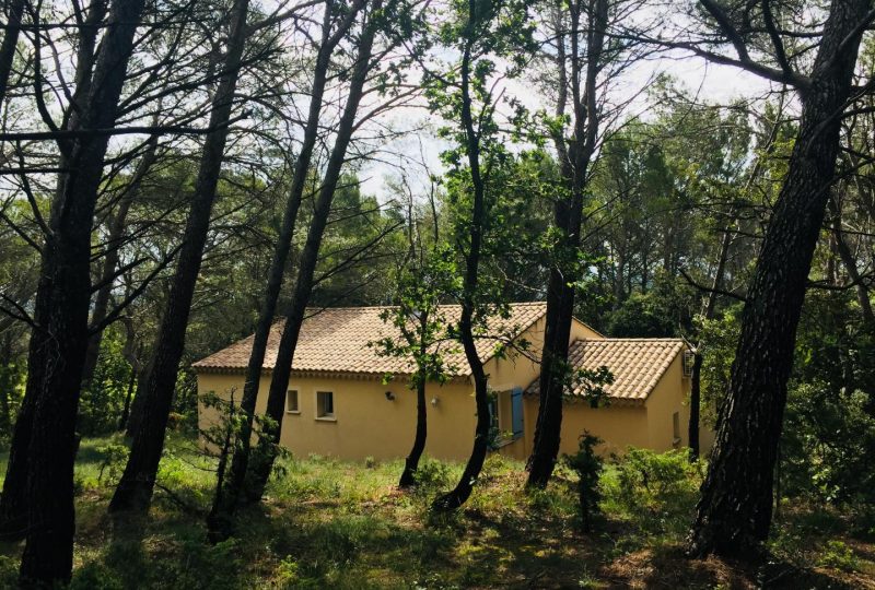 Les cigales à Montségur-sur-Lauzon - 17