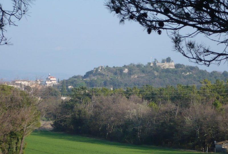 Les cigales à Montségur-sur-Lauzon - 19