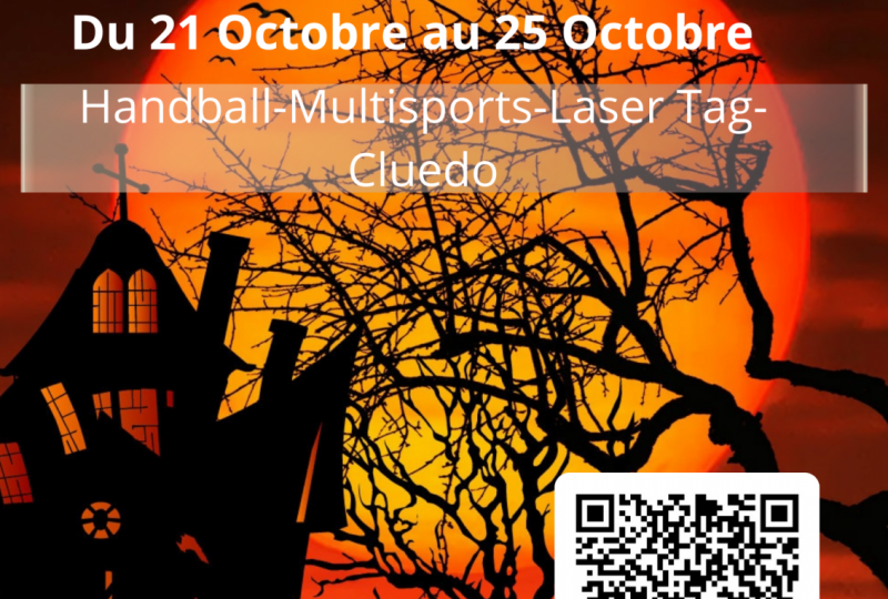 Stage vacances handball et multisports (automne 1) à Valréas - 0