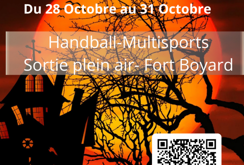 Stage vacances handball et multisports (automne 2) à Valréas - 0