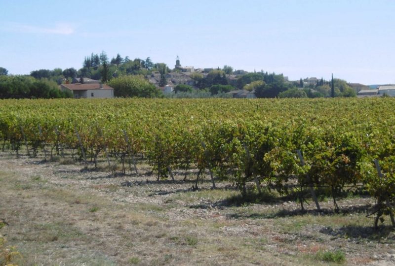 La plaine de Visan à Visan - 0