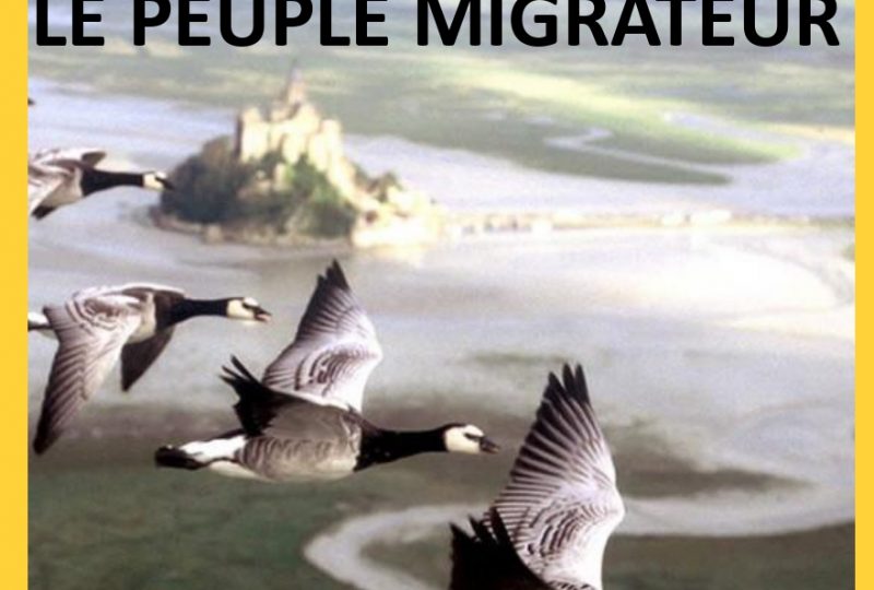 CINE CLUB : « Le peuple migrateur » documentaire réalisé par Jacques Perrin, Jacques Cluzaud et Michel Debats à Roussas - 1