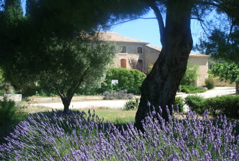 Clos du Père Clément à Visan - 0