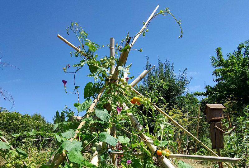 Le Naturoptère à Sérignan-du-Comtat - 3