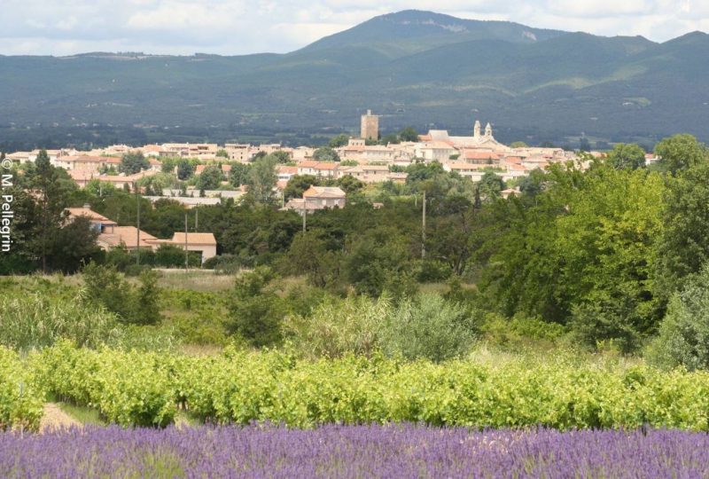 L’Enclave des Papes à Grignan - 0