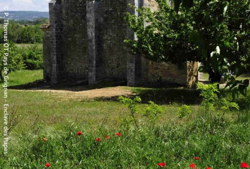 L’Enclave des Papes à Grignan - 1