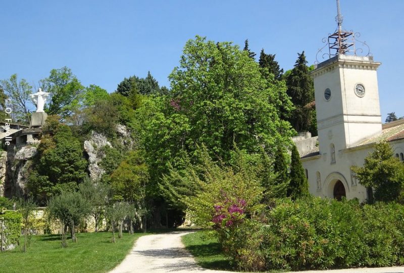 Sur les traces de l’abbaye d’Aiguebelle à Grignan - 0