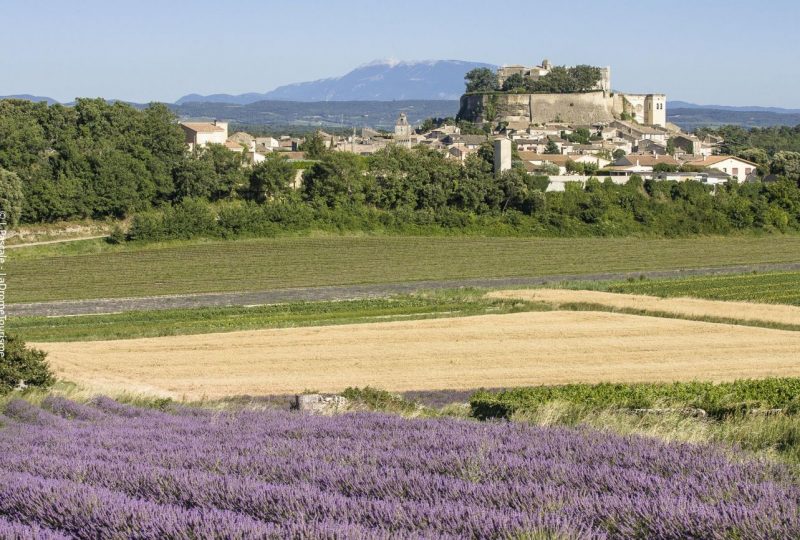 Le Rouvèrgue à Grignan - 2