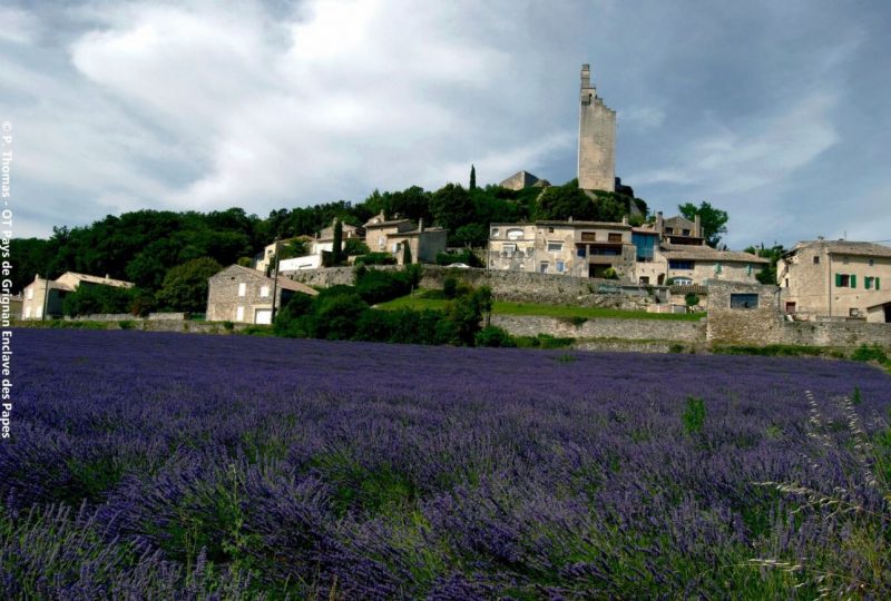 La voie romaine à Chamaret - 2