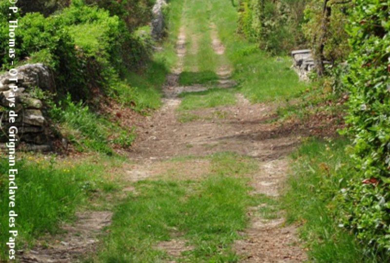 La croisée des chemins à Chamaret - 4