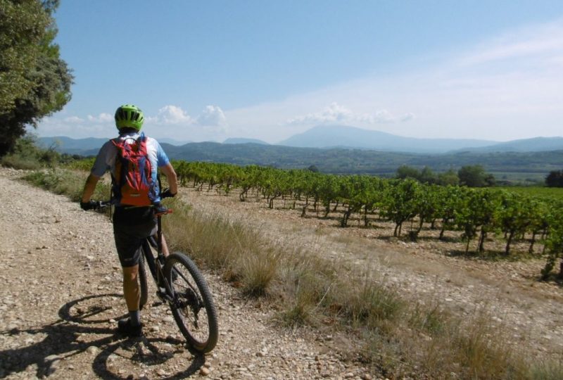 Entre vignes et panoramas à Valréas - 0