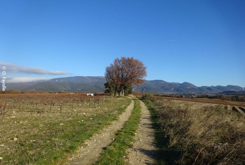 Le chemin des invasions à Taulignan - 1