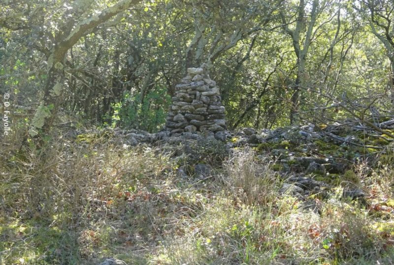 Le Rouvèrgue à Grignan - 1