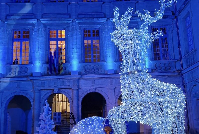 Mise en lumière du Château de Simiane à Valréas - 5