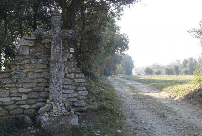 Rochecourbière à Chamaret - 9