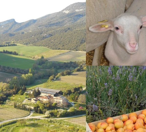 Ferme du Célas à Le Pègue - 0